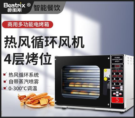 �̈D˹����